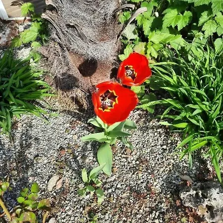 Holiday home Casa Silvia