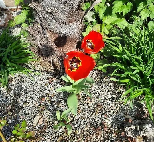 Semesterbostad Casa Silvia