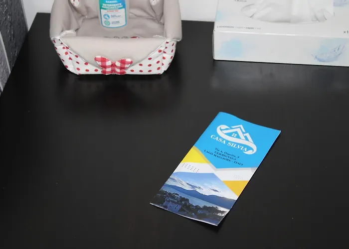 Holiday home Casa Silvia Germignaga